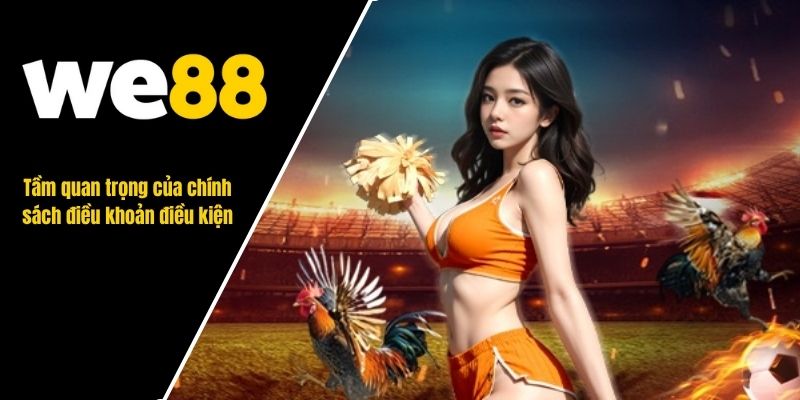 Điều khoản điều kiện