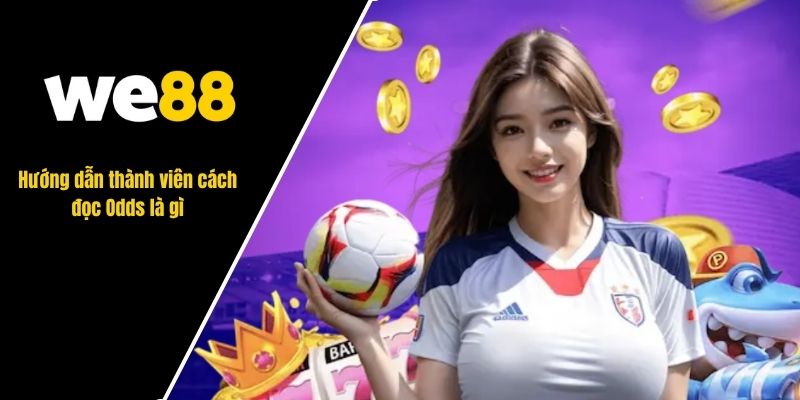 Odds là gì? Ý nghĩa đằng sau các chỉ số cá cược bóng đá