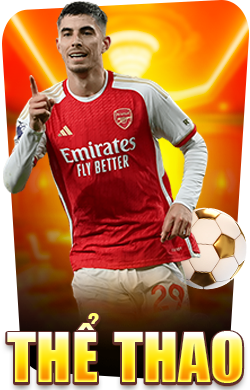 frame thể thao we88